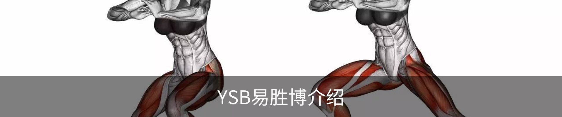 YSB易胜博介绍